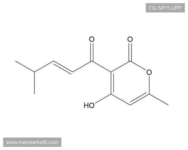 k8凯发的优惠活动与奖励机制，提升用户粘性与活跃度